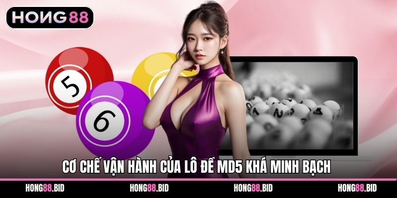 Lô Đề Siêu Tốc MD5 Tại Hong88 - Hướng Dẫn Tham Gia Đánh Số - NOVABET69 Lô Đề Siêu Tốc MD5 Tại Hong88 - Hướng Dẫn Tham Gia Đánh Số - NOVABET69