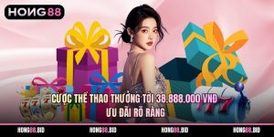 Khuyến Mãi Hấp Dẫn Giúp Tối Ưu Giá Trị Cá Cược Lâu Dài - NOVABET69