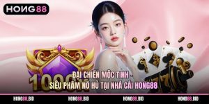 Đá Gà Hong88 Nền Tảng Giải Trí Trực Tuyến Hấp Dẫn Ổn Định - NOVABET69