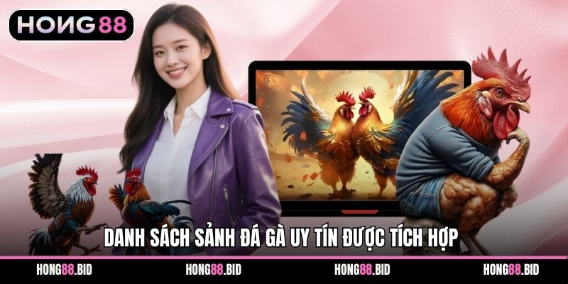 Đá Gà Hong88 Nền Tảng Giải Trí Trực Tuyến Hấp Dẫn Ổn Định - NOVABET69