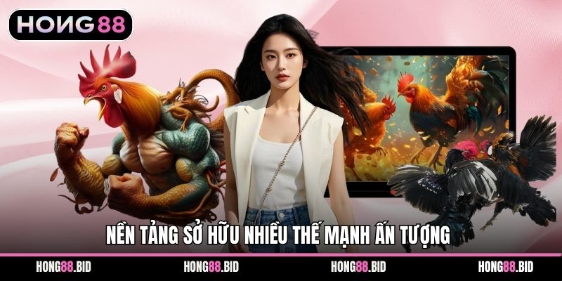 Đá Gà Hong88 Nền Tảng Giải Trí Trực Tuyến Hấp Dẫn Ổn Định - NOVABET69