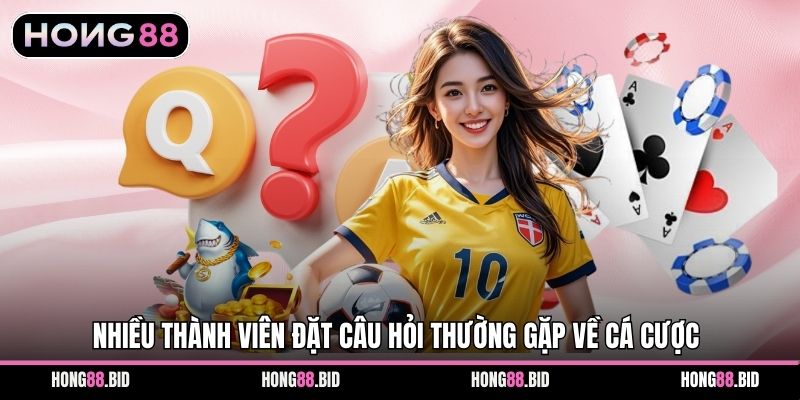 Câu Hỏi Thường Gặp Khi Tham Gia Cá Cược Tại Hong88 - NOVABET69