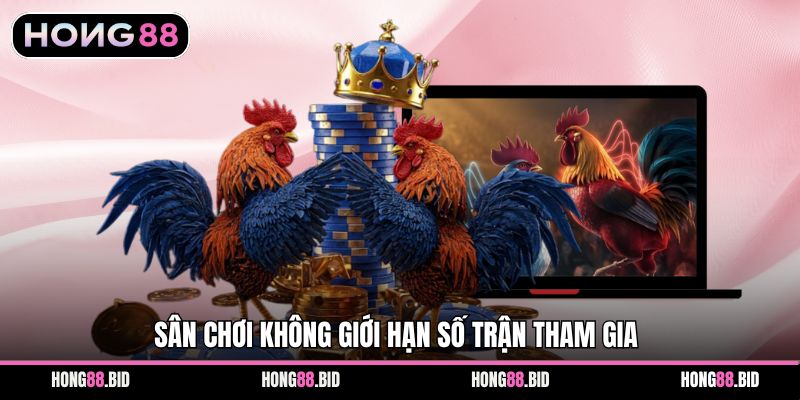 Đá Gà Hong88 Nền Tảng Giải Trí Trực Tuyến Hấp Dẫn Ổn Định - NOVABET69